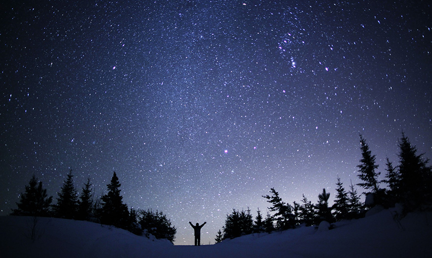 The brightest stars in the winter night sky